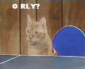 кот играет в теннис