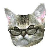 кот в очках